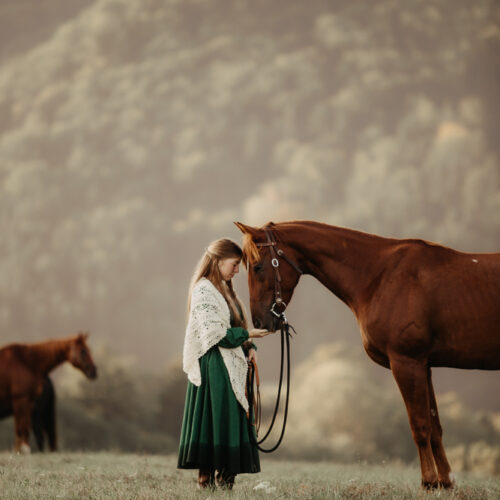 Little Woman horse photoshoot idea